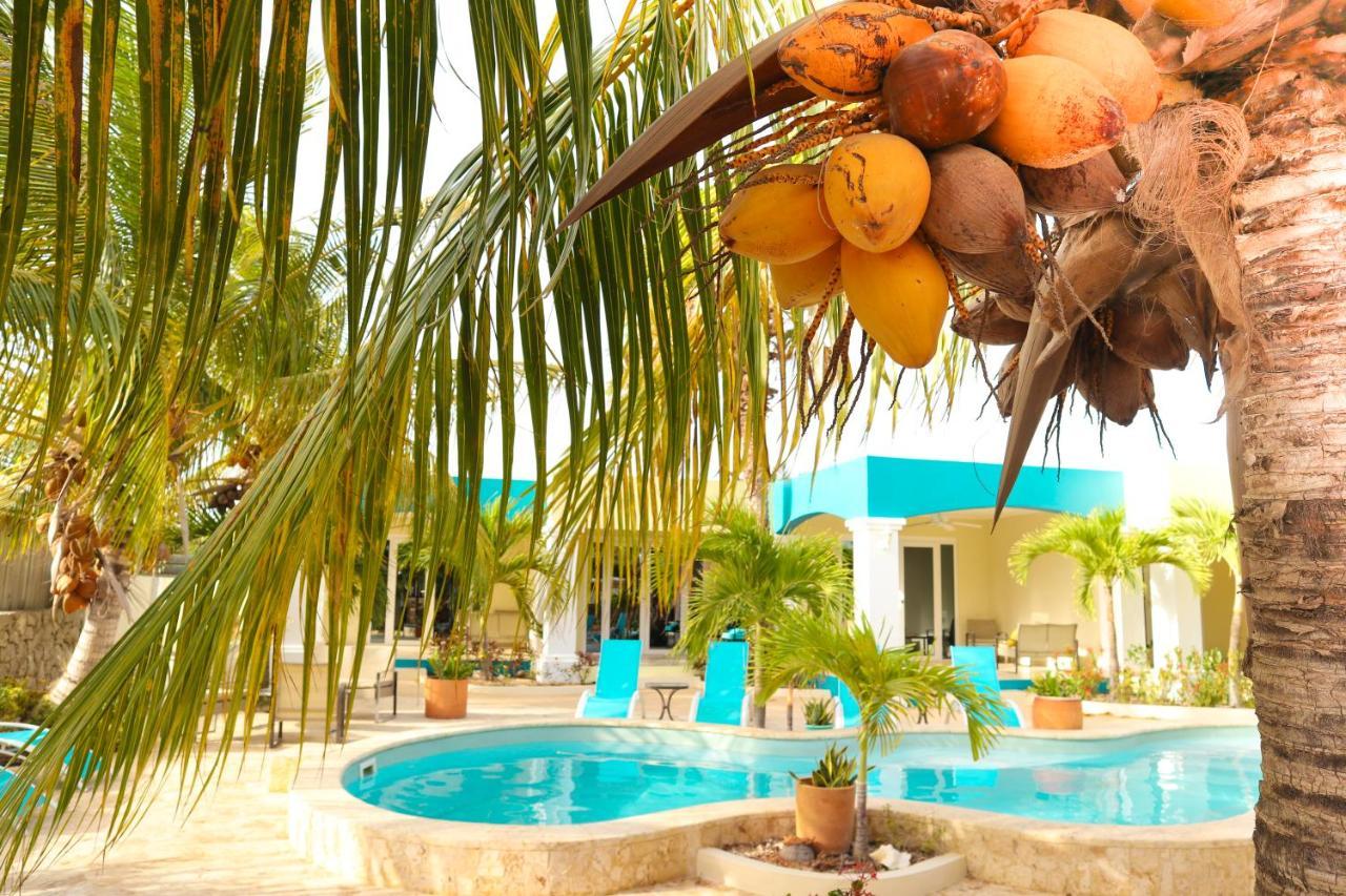 Aqua Viva Suites Playa Extérieur photo